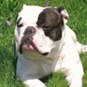 Meet your Posher, Tanika